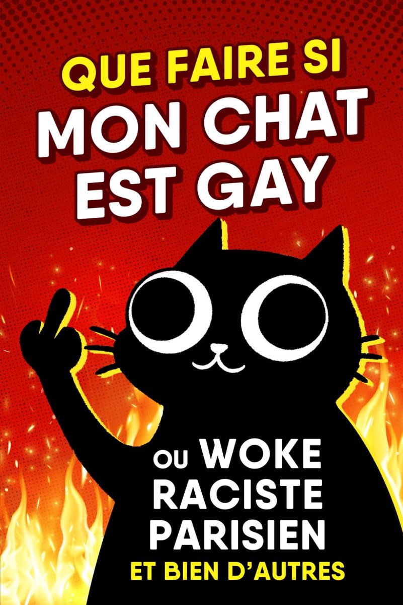 Grappig Boek over Vreemd en Onverwacht Kattengedrag - Humoristische Gids
