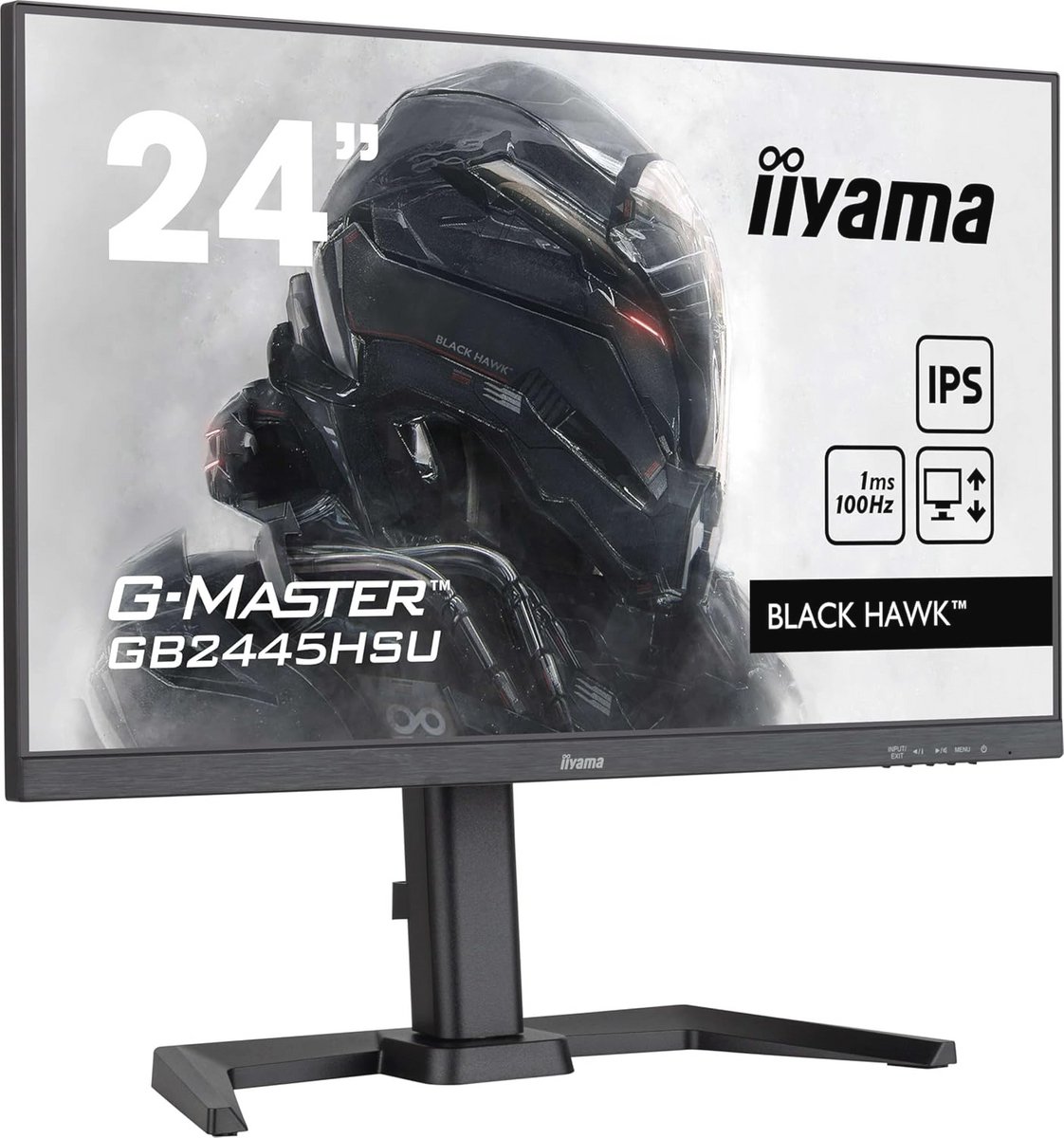 24 Inch Full HD Gaming Monitor 100Hz IPS LCD 1920 x 1080