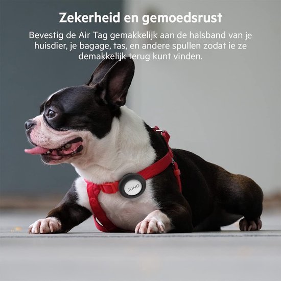 Boston terriër met rode halsband en zwarte AirTag houder