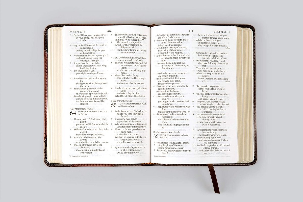 ESV Large Print Compact Bible - afbeelding 3