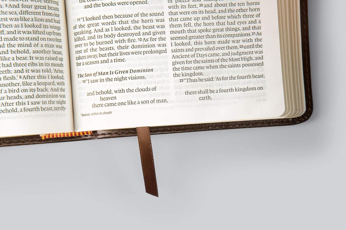 ESV Large Print Compact Bible - afbeelding 2