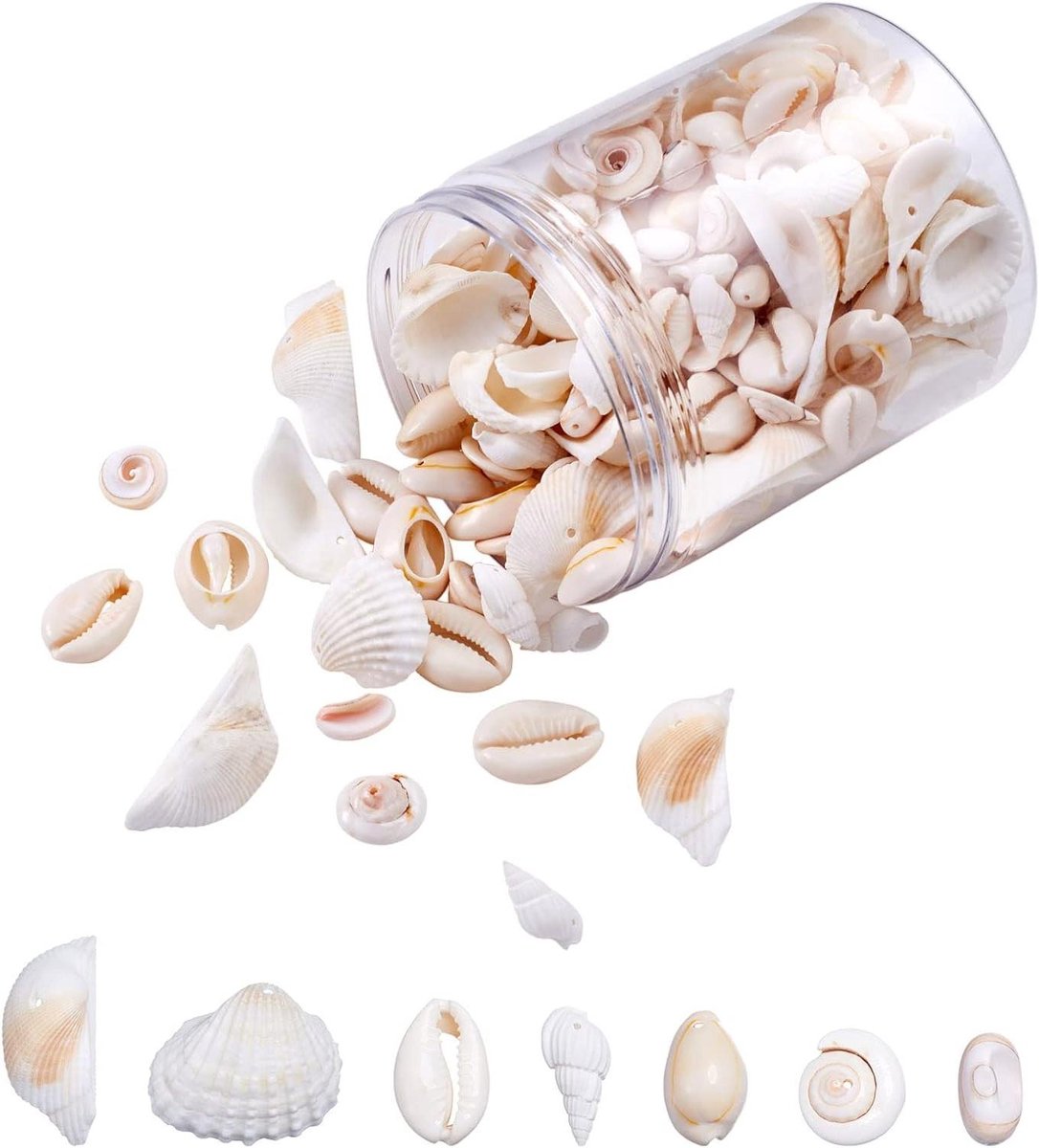 Allecta - Natuurlijke shell hangers kralen - Oceaan strand zeeschelp charms - Ketting armband wind chimes - Fish tank home party