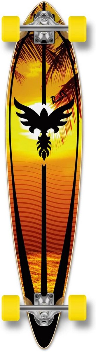 Compleet Pintail Longboard Skateboard met Grafische Print Geschikt voor Beginners