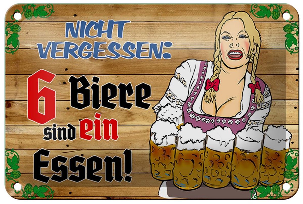 Blechschild Alkohol 12x18cm 6 Biere sind ein Essen