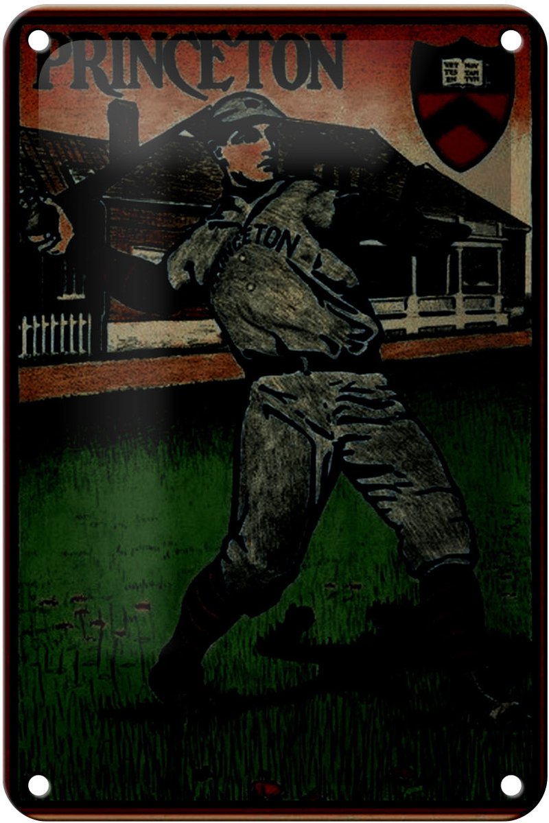 Blechschild Retro 12x18cm Princeton Baseball