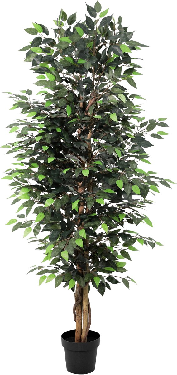 Florafy Kunstplant Ficus Benjamina 180cm - Kunstplanten voor binnen - Onderhoudsvrij Groen