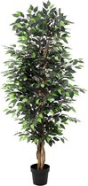 Florafy Plante artificielle Ficus Benjamina | 180cm - Plantes artificielles d'intérieur - Sans entretien