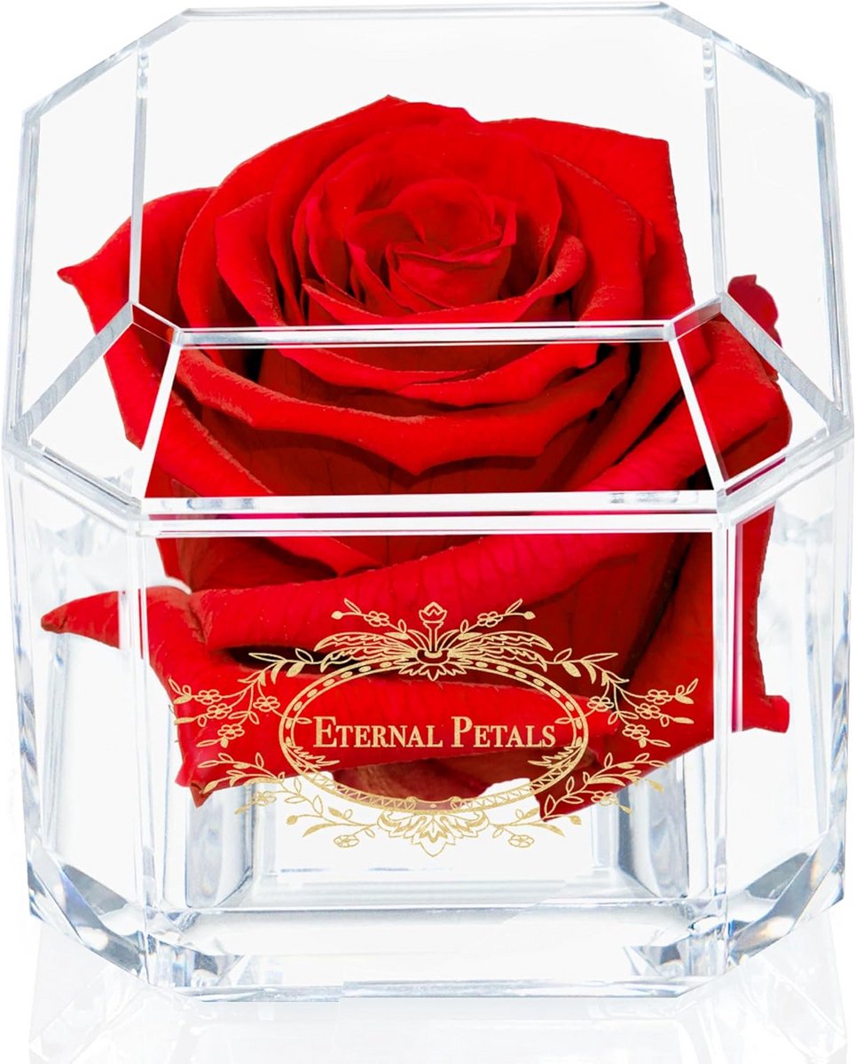 Echte Rozen Die Een Jaar Meegaan - Perfect Cadeau Voor Verjaardag, Huwelijksverjaardag en Meer
