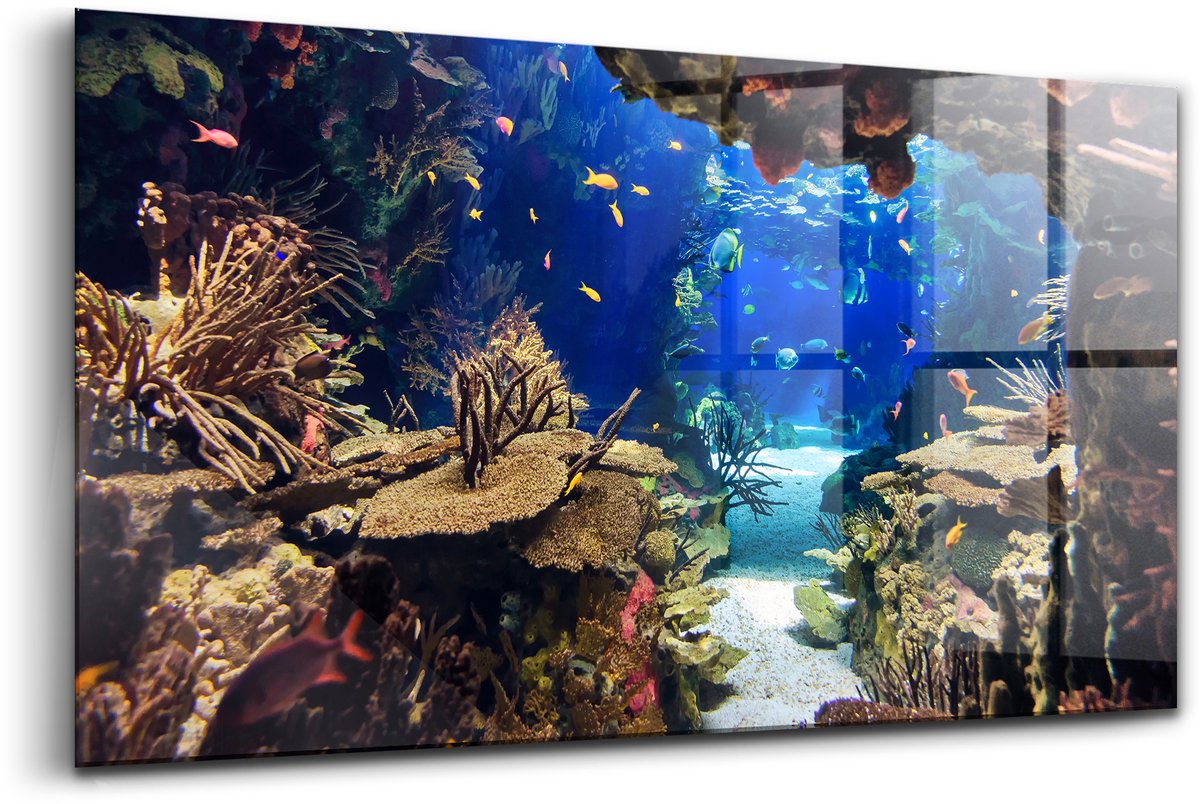 Wallfluent Glasschilderij - Aquarium met vissen Foto In Glas - 120x60 cm - Veelkleurig Horizontale muurfoto - Dieren Schilderij Glas - Foto Schilderij Op Glas - Glazen Schilderij