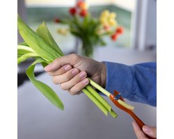 Bloemensnijder voor Bloemenverzorging - Tuinaccessoires en Bloemisterij