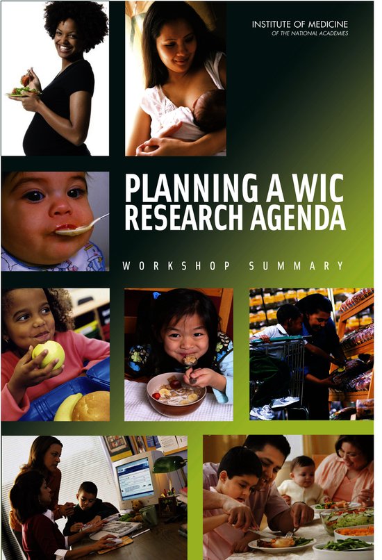 Planning a Wic Research Agenda - cover