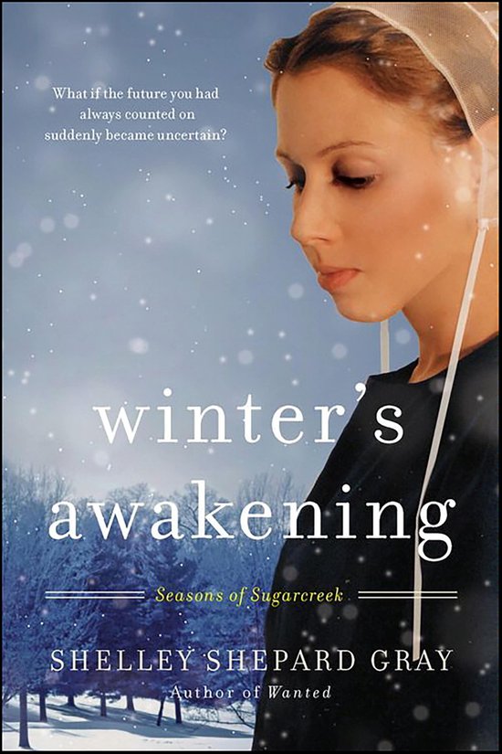 Seasons of Sugarcreek 1 - Winter's Awakening - cover