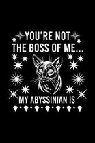 You're not the boss of me... my Abyssinian is