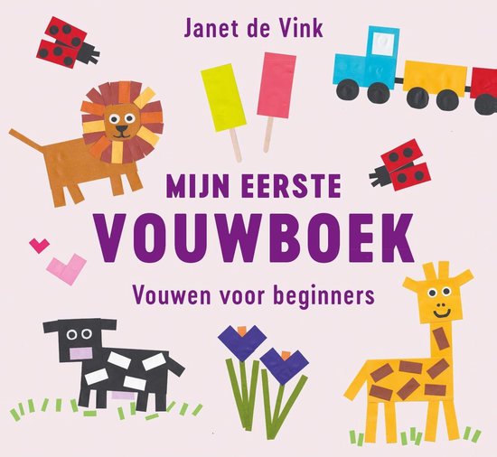 Mijn eerste vouwboek - cover