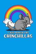 I Just Really Like Chinchillas