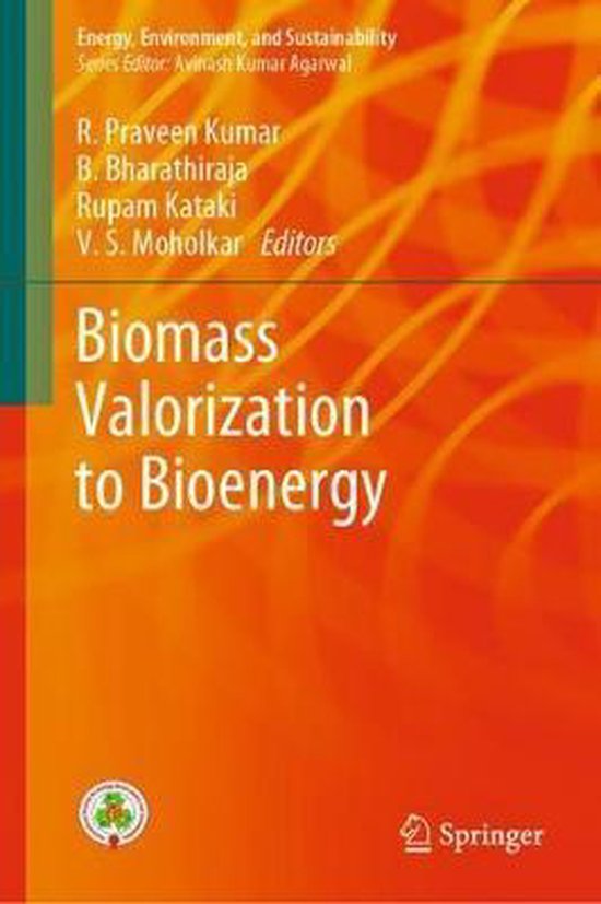 Energy, Environment, and Sustainability- Biomass Valorization to Bioenergy