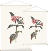 Silene (Campion) - Foto op Textielposter - 60 x 90 cm