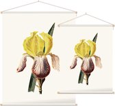 Iris (Iris White) - Foto op Textielposter - 120 x 160 cm