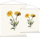 Goudsbloem 2 (Common Marigold White) - Foto op Textielposter - 90 x 120 cm