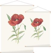 Grote Klaproos (Scarlet Poppy) - Foto op Textielposter - 90 x 135 cm