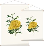 Rosa Foetida Aquarel (Persian Yellow Rose) - Foto op Textielposter - 90 x 135 cm