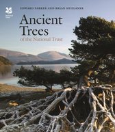 Ancient Trees of the National Trust