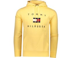 Tommy Hilfiger Sweater Geel Geel - Maat S - Heren - Herfst/Winter Collectie  -... | bol.com
