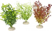 Auqa Della Plant bacopa Gemengde kleuren M - height 25cm, PER STUK !! GEEN KEUZE MOGELIJK !