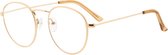 Icon Eyewear Leesbril SCG018 Goldy +2.50 - Rond metaal frame - Goudkleurig