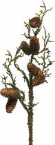 Gifts Amsterdam Kunstplant Natural Pine Cone 72 Cm Zijde Bruin