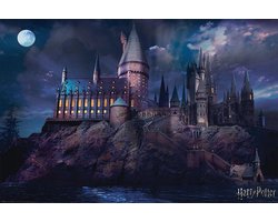 foto van GBeye Poster - Hole In The Wall Harry Potter Maxi - 61 X 91.5 Cm - Multicolor