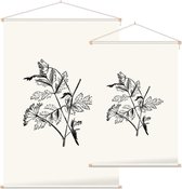 Torilis zwart-wit (Hedge Parsley) - Foto op Textielposter - 60 x 90 cm