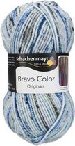 Schachenmayr Bravo Color 50 Gram - 2137