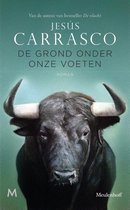 Omslag De grond onder onze voeten