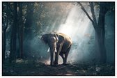 Olifant in oerwoud - Foto op Akoestisch paneel - 120 x 80 cm