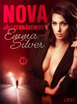 Nova - Nova 1: Jälleennäkeminen - eroottinen novelli