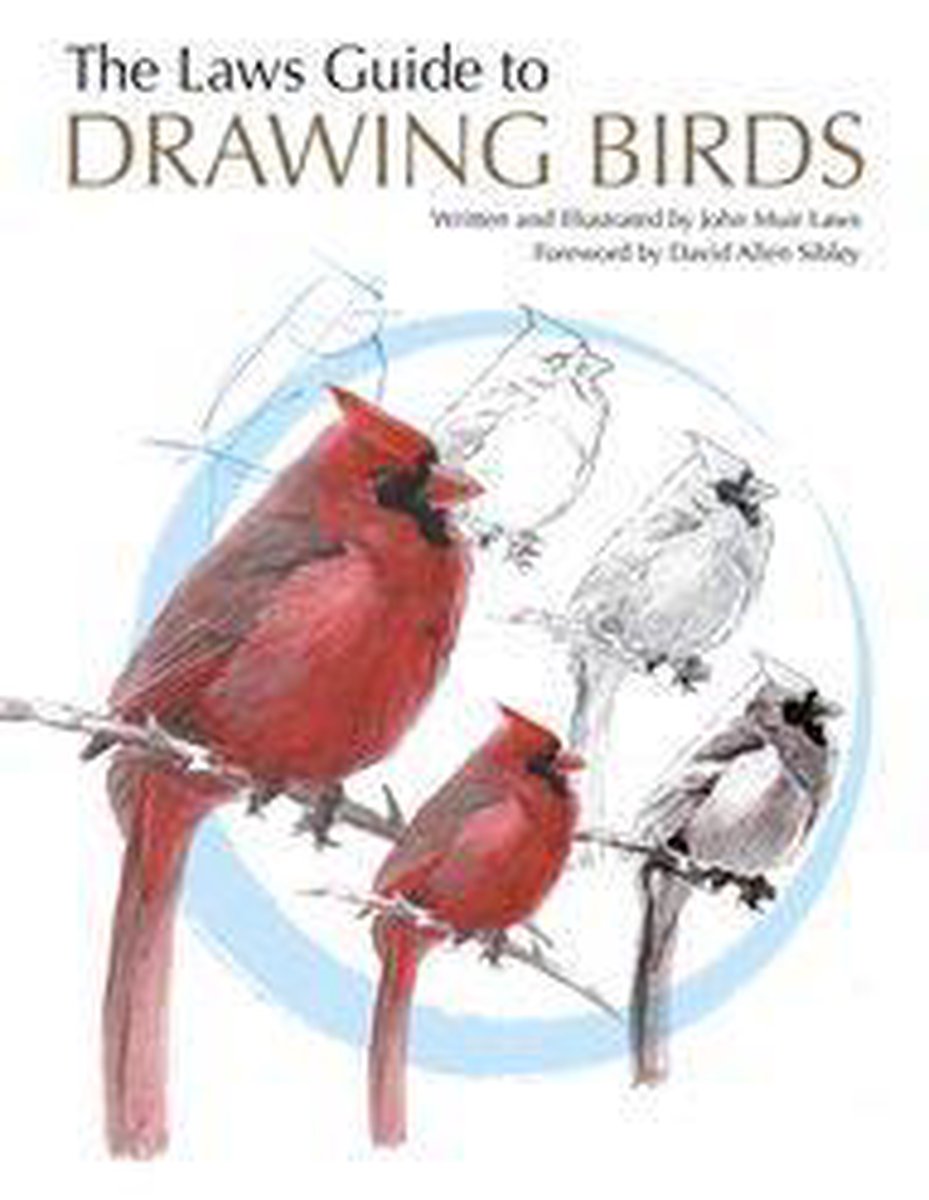 Omslag van The Laws Guide to Drawing Birds