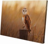 Uil | 150 x 100 CM | Wanddecoratie | Dieren op canvas | Schilderij | Canvasdoek | Schilderij op canvas