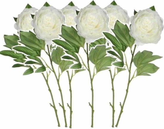 Set de 6x pivoine blanche crème / roses de 76 cm - Bouquets de fleurs  Fleurs... | bol.com