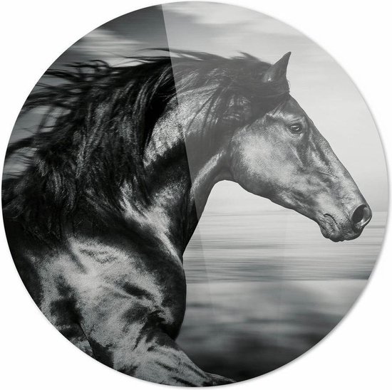 hart wapenkamer Relatieve grootte Paard zwart-wit close up| 50 x 50 CM | Dieren op plexiglas | Wanddecoratie  | Dieren... | bol.com