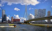 Fotobehang Rotterdam Skyline en Erasmusbrug 350 x 260 cm - € 235,--