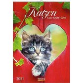 Katten / Katzen Kalender 2021 (formaat 24x34)