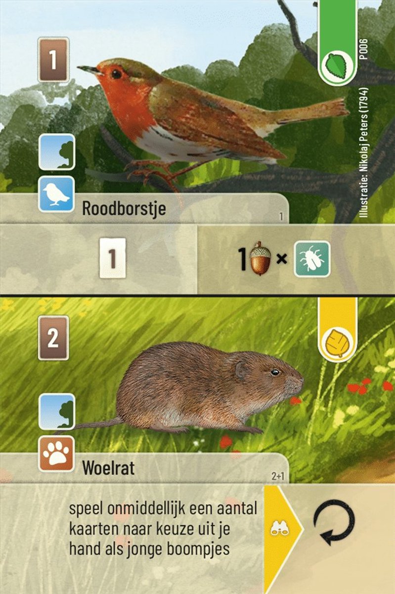 Spel - Kaartspel - Forest Shuffle - Uitbreiding - Exploration - 2 tot 5 spelers - 10+ — cadeau in Spellen & Speelgoed - foto 2