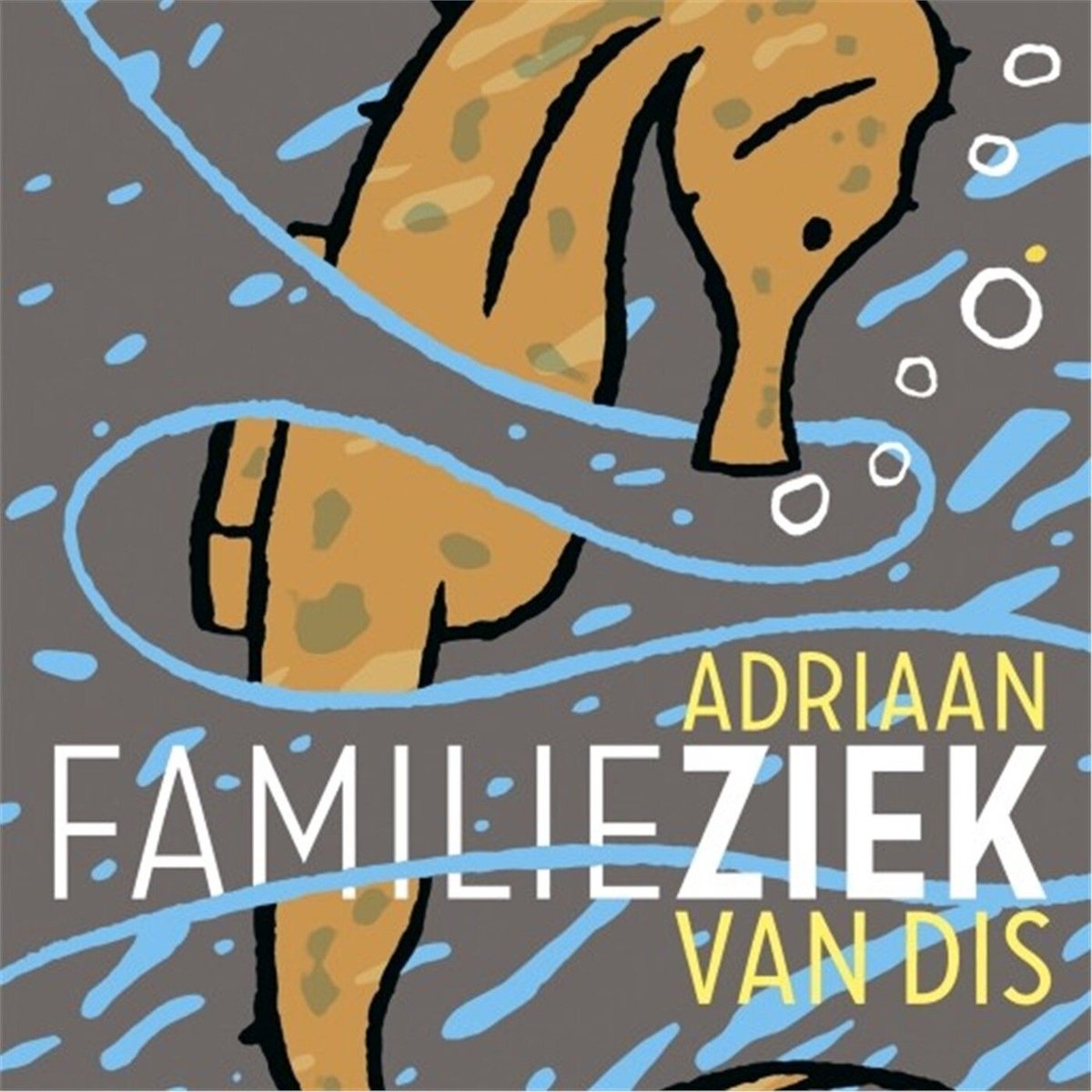 Omslag van Familieziek