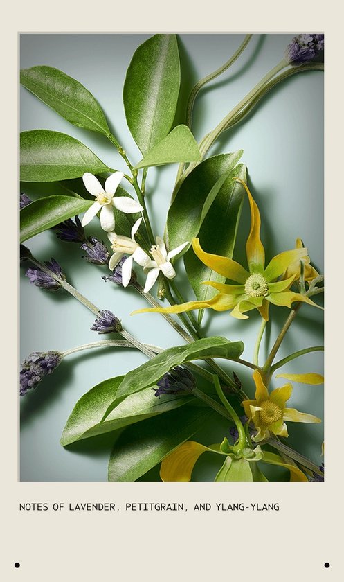 Lavendel, petitgrain en ylang-ylang bloemen met groene bladeren op een blauwe achtergrond.