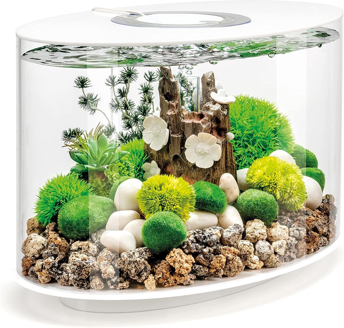 Compact LED Aquarium Set 15 Liter - Compleet Zoetwater Aquarium met Standaard