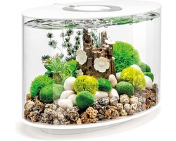 Compact LED Aquarium Set 15 Liter - Compleet Zoetwater Aquarium met Standaard