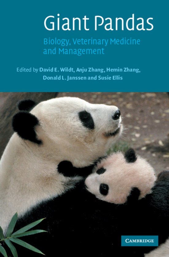 Giant Pandas - cover