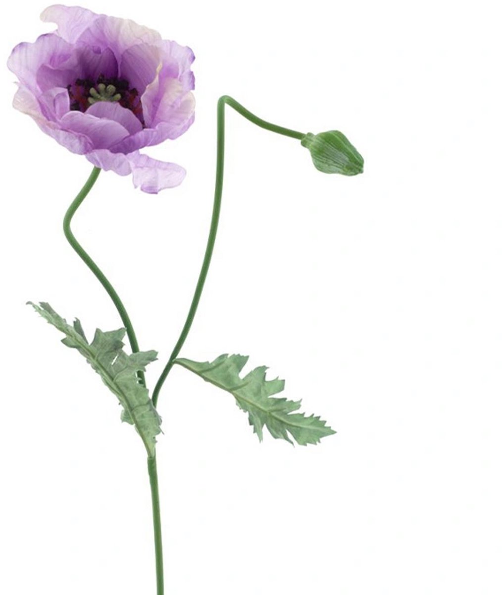 Erutan avon - Poppy spray Casper lavender 73 cm