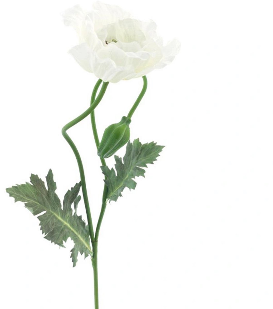 Erutan avon - Poppy spray Casper cream 73 cm